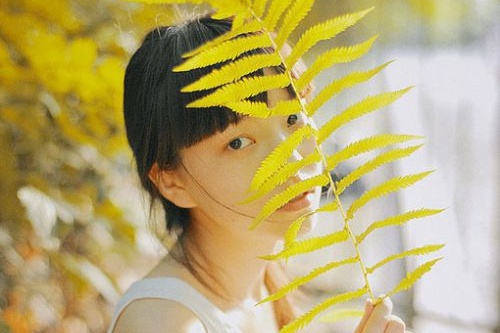 ?？诰W(wǎng)站建設(shè)模板網(wǎng)絡公司